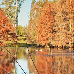 Chacras de 5 Hectareas en Urbanizacion