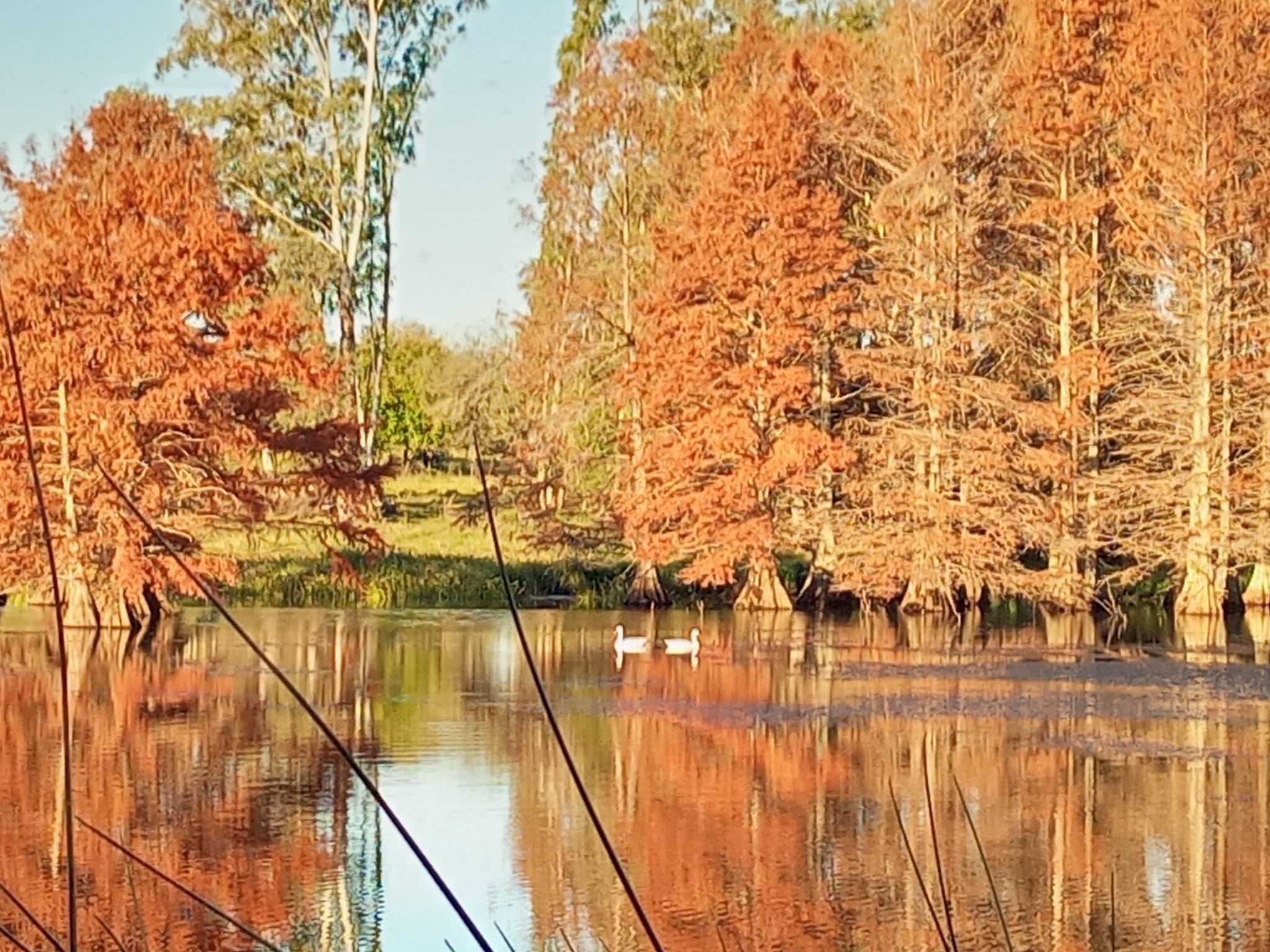 Chacras de 5 Hectareas en Urbanizacion