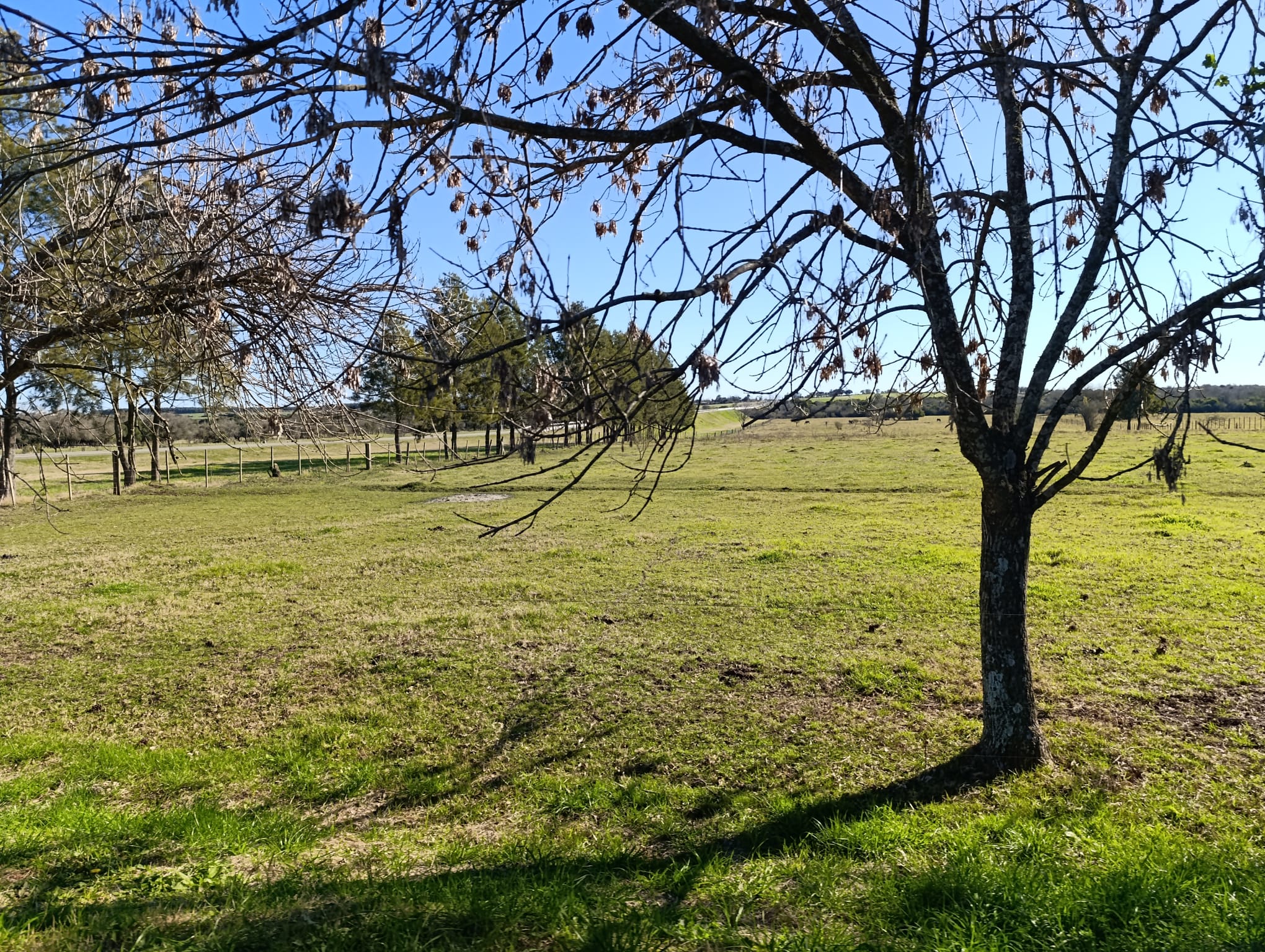 Chacras de 5 Hectareas en Urbanizacion - Imagen 4