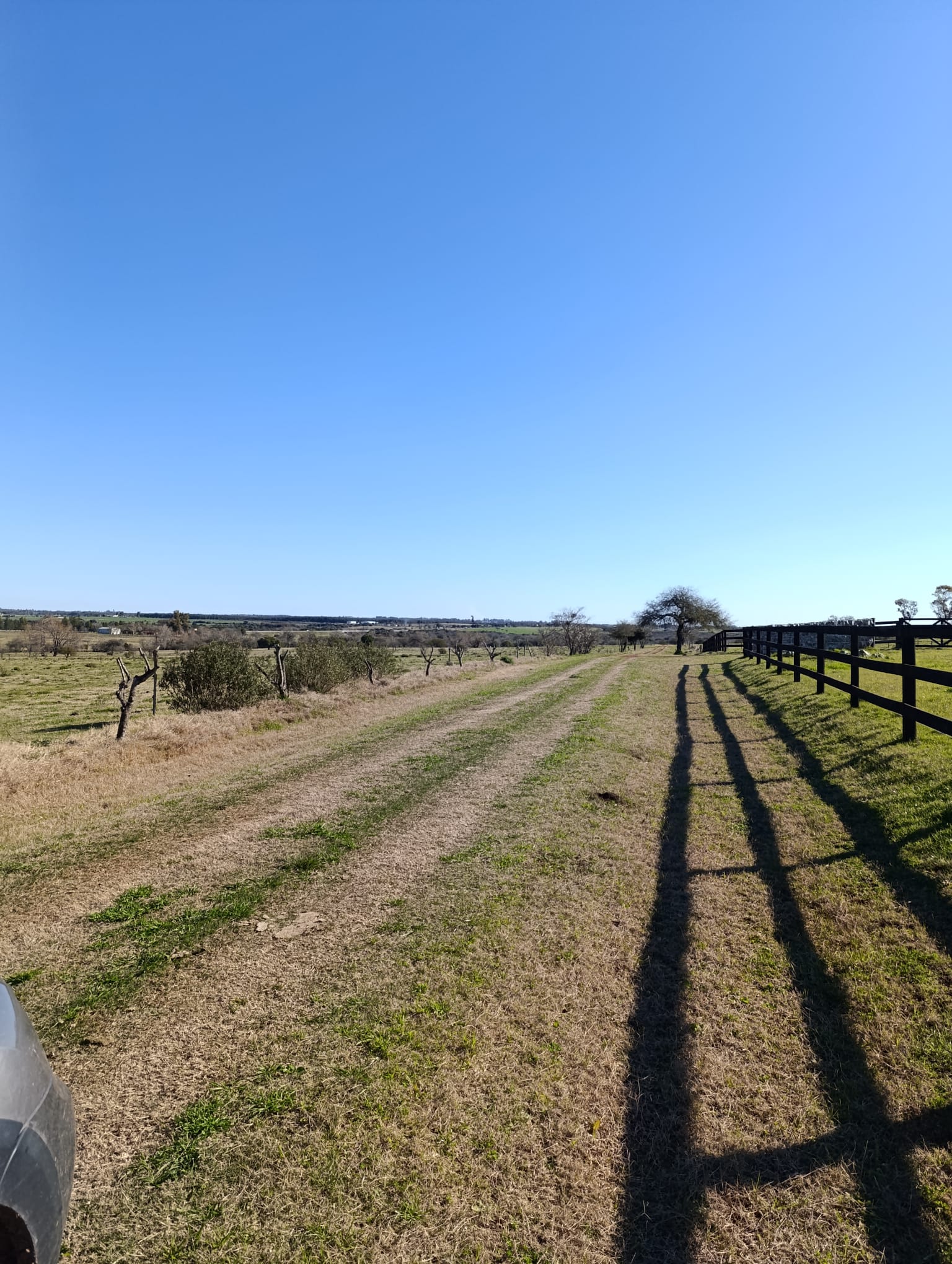 Chacras de 5 Hectareas en Urbanizacion - Imagen 2