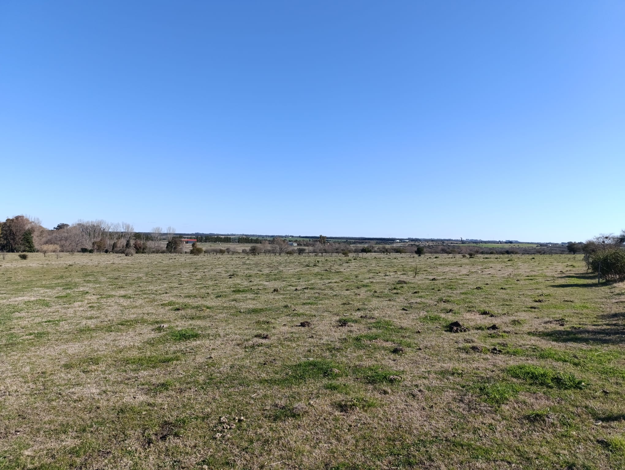 Chacras de 5 Hectareas en Urbanizacion - Imagen 3